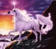 unicorn17.jpg